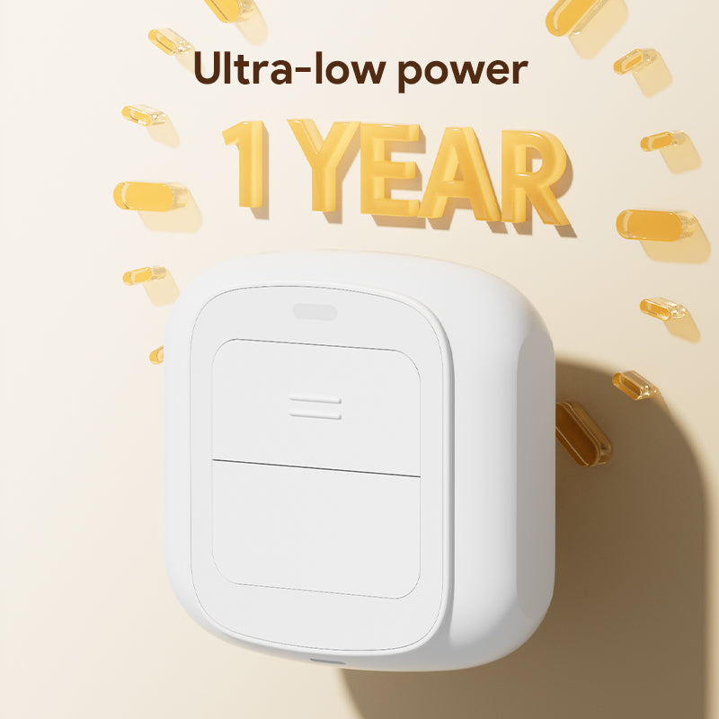 Wireless Switch (2-Key)