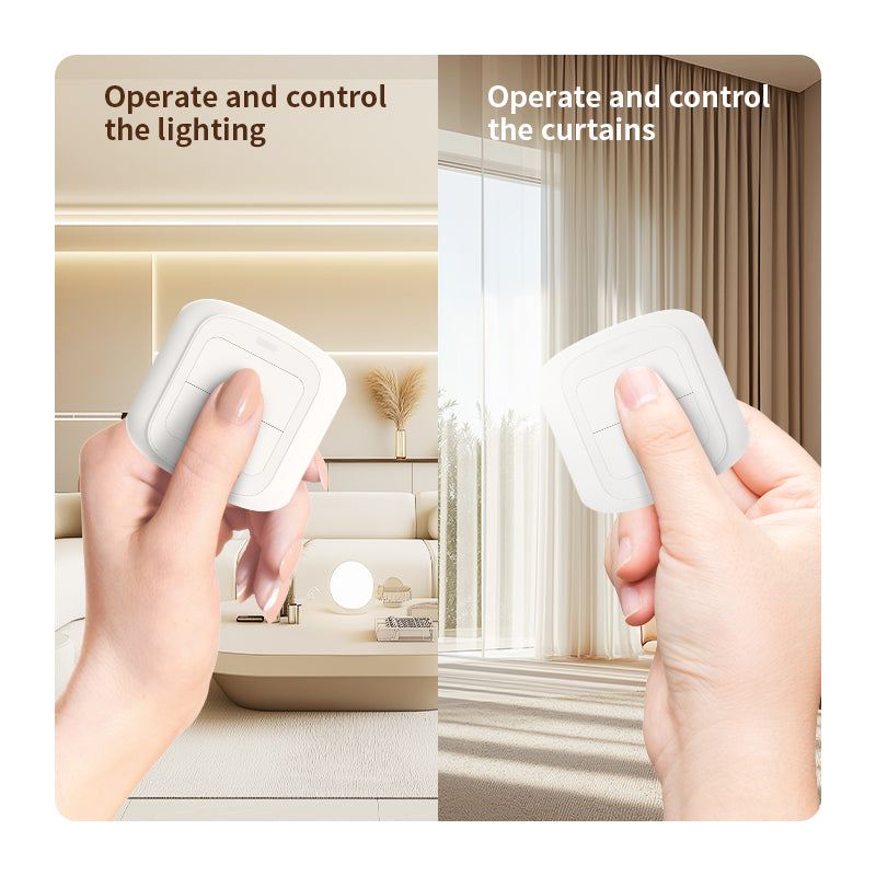 Wireless Switch (2-Key)