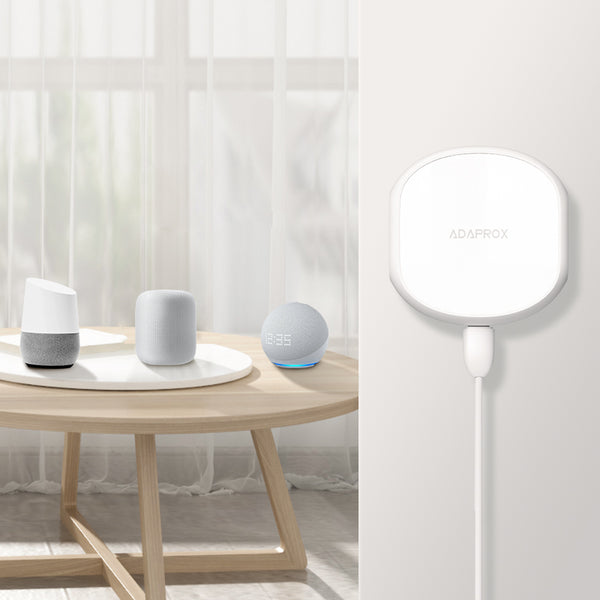 Works with Voice Assistants